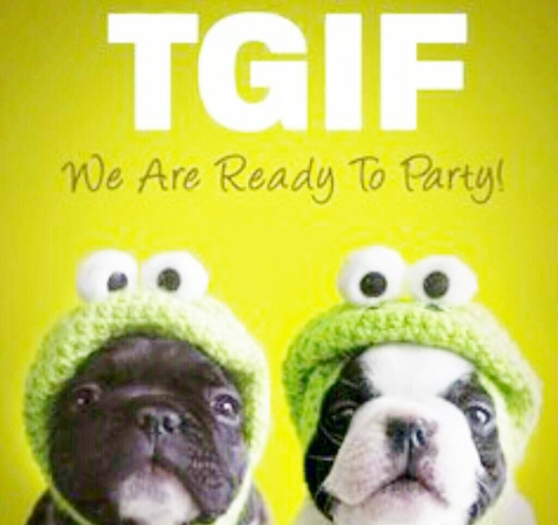 TGIF DOGS Image From PicCollage